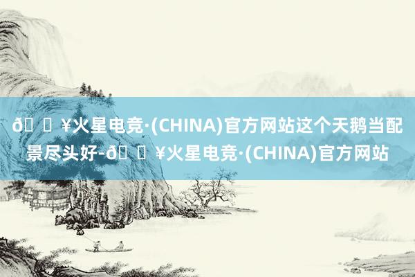 🔥火星电竞·(CHINA)官方网站这个天鹅当配景尽头好-🔥火星电竞·(CHINA)官方网站
